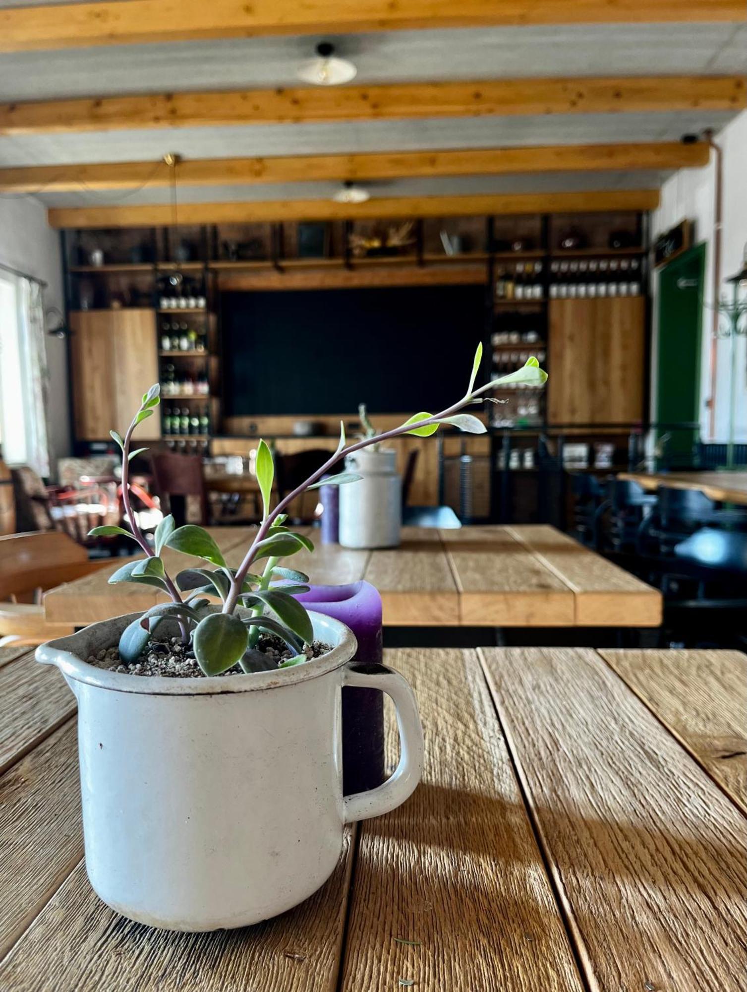 Penzion A Bistro Stary Kopec ズノイモ エクステリア 写真